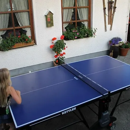 Schafflerhof 3*