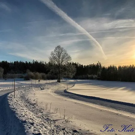 Schafflerhof 3*