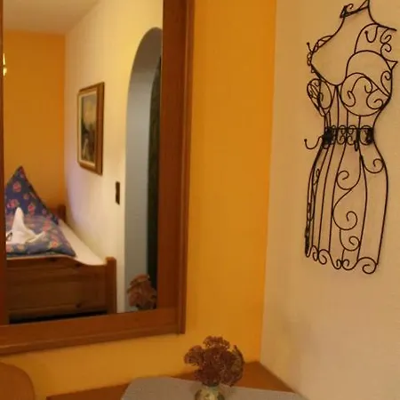 Schaefflerhof Hotel 3*