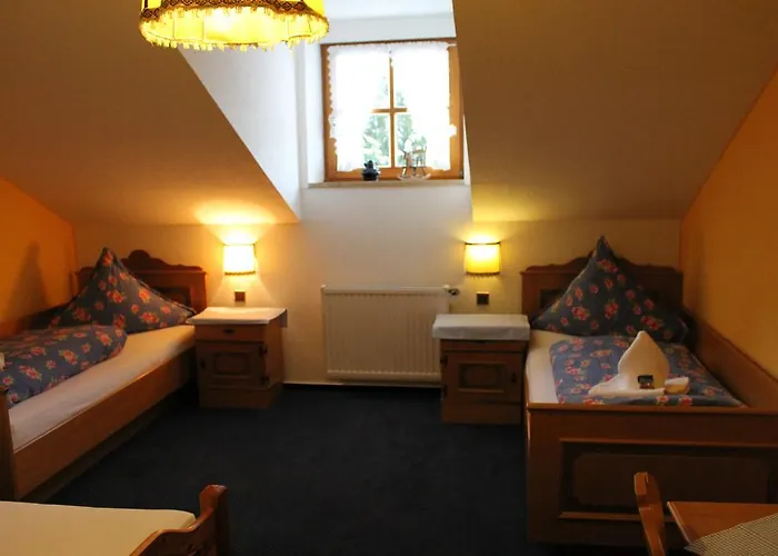 Hotel Schafflerhof 3*